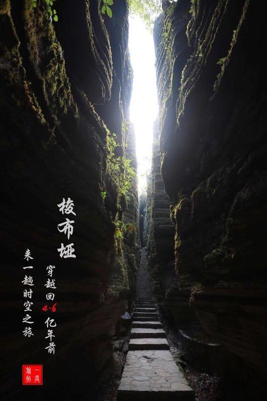 原始丛林找星星