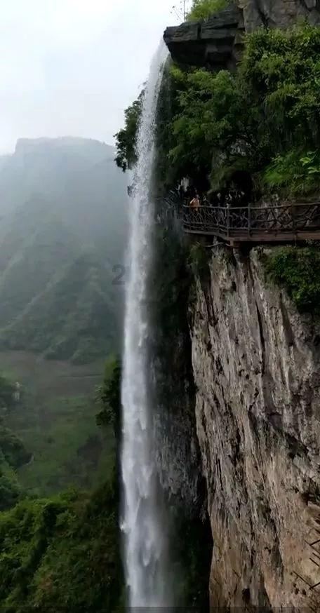 细胞分裂6